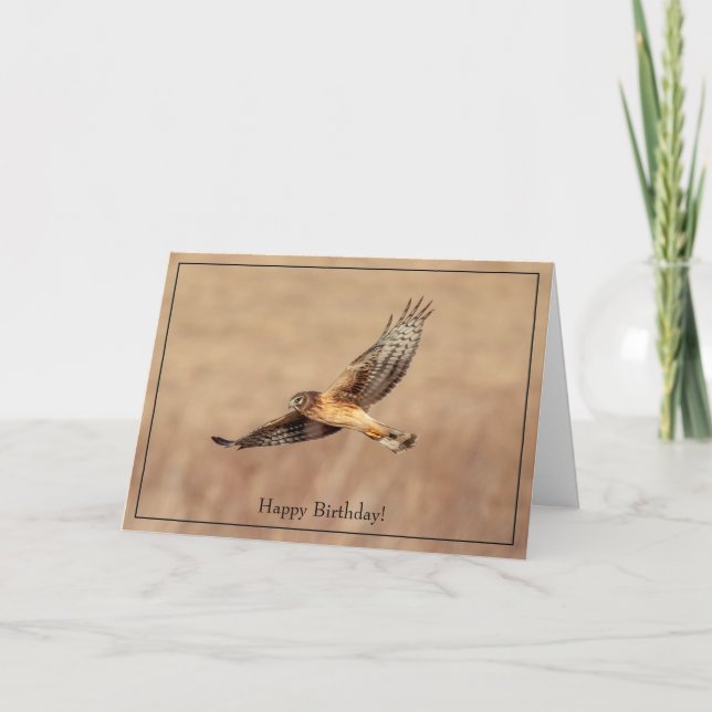 Tarjeta de cumpleaños feliz Halcón Harrier (Anverso)