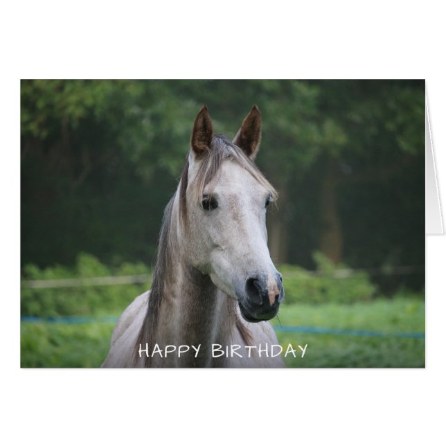 Tarjeta de cumpleaños feliz para caballos (Anverso (Horizontal))