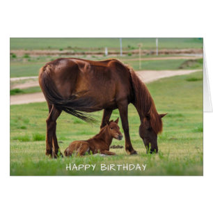 Tarjeta de cumpleaños feliz para caballos