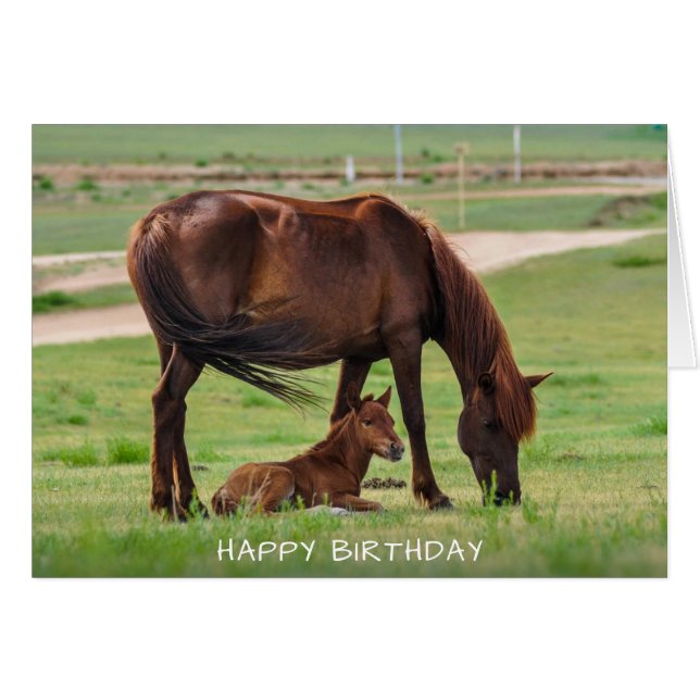 Tarjeta de cumpleaños feliz para caballos (Anverso (Horizontal))