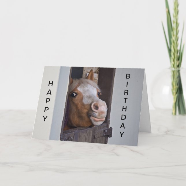 Tarjeta de cumpleaños feliz para caballos humoríst (Anverso)