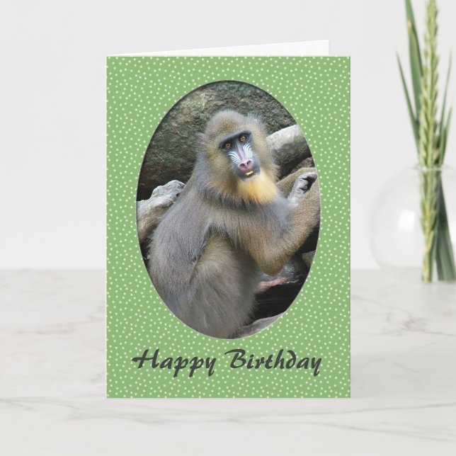 Tarjeta de cumpleaños feliz para el zoológico (Anverso)