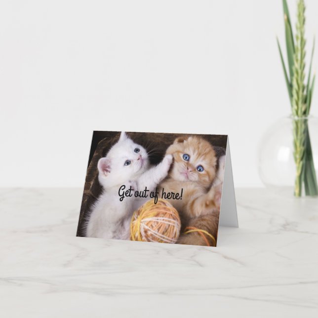 Tarjeta de cumpleaños feliz para gatitos (Anverso)