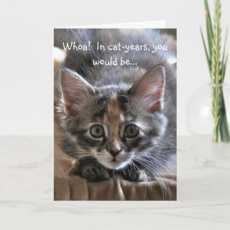 Tarjeta de cumpleaños feliz para gatitos intensos