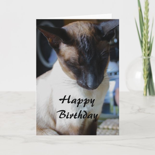 Tarjeta de cumpleaños feliz para gatos siameses (Anverso)