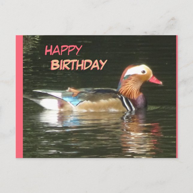 Tarjeta de cumpleaños feliz Pato mandarín (Anverso)