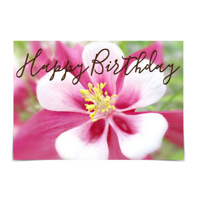 Tarjeta de "cumpleaños feliz" rosa y blanca en olu (Subido por el creador)