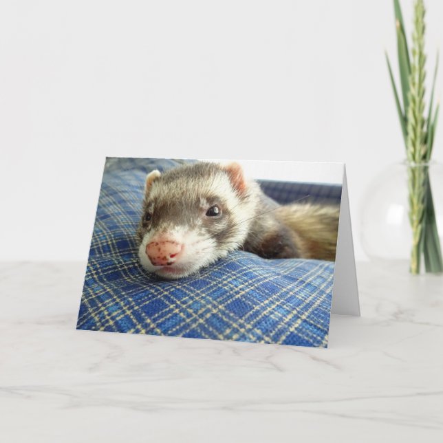 Tarjeta de cumpleaños Ferret Face (Anverso)