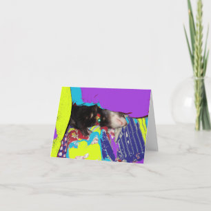 Tarjeta de cumpleaños Ferret Nap