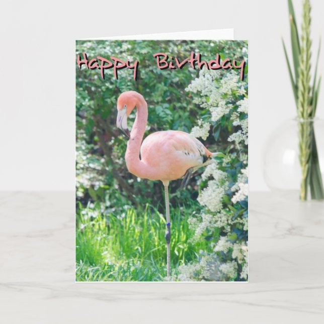 Tarjeta de cumpleaños Flamingo (Anverso)