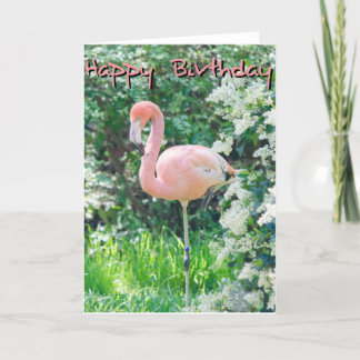 Tarjeta de cumpleaños Flamingo