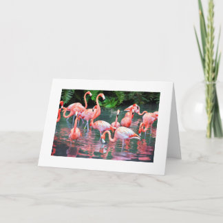Tarjeta de cumpleaños Flamingo