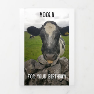 Tarjeta de cumpleaños - Flap se pliega alrededor d