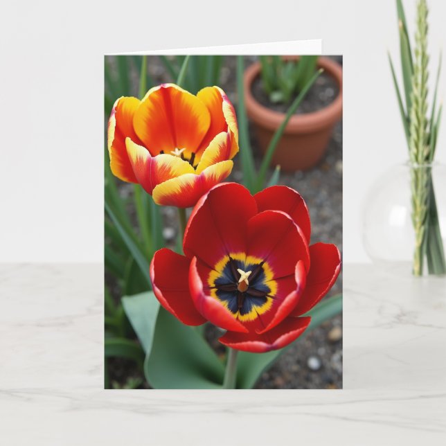 Tarjeta de cumpleaños Flor de terciopelo (Anverso)