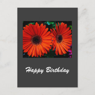 tarjeta de cumpleaños flores de margarita color na