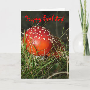 Tarjeta de cumpleaños "Fly Agaric Mushroom"