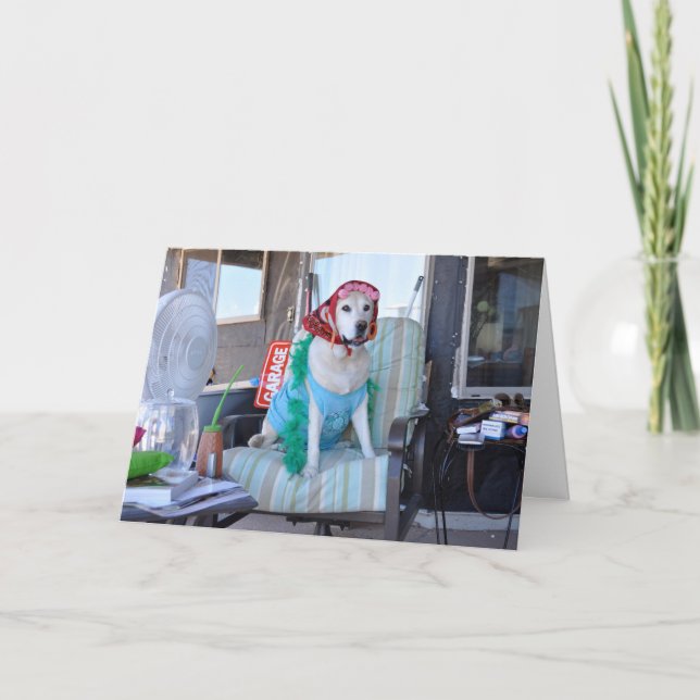 Tarjeta de cumpleaños, foto del perro en bigudíes (Anverso)