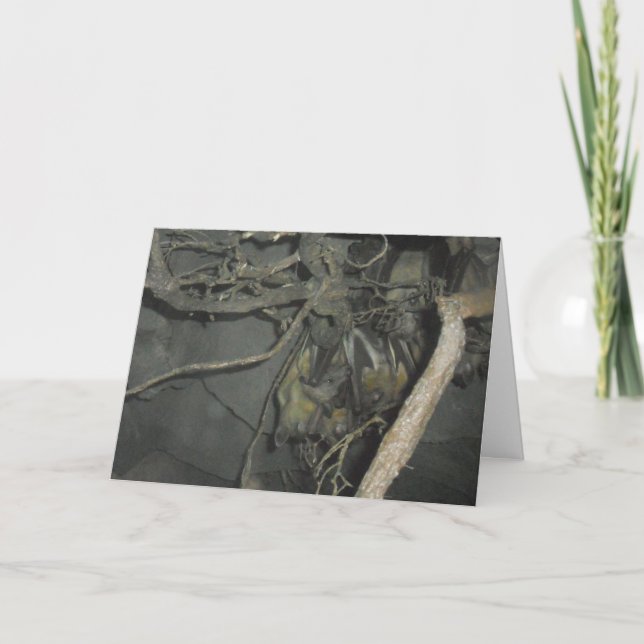 Tarjeta de cumpleaños "Fruit Bats" (Anverso)