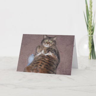 Tarjeta de cumpleaños gata divertida (impresión gr
