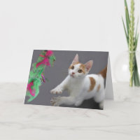 Tarjeta de cumpleaños gatita por foco por causa