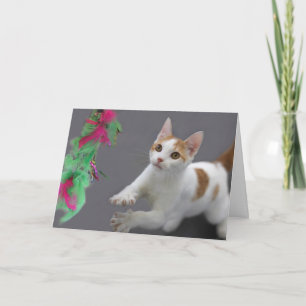 Tarjeta de cumpleaños gatita por foco por causa