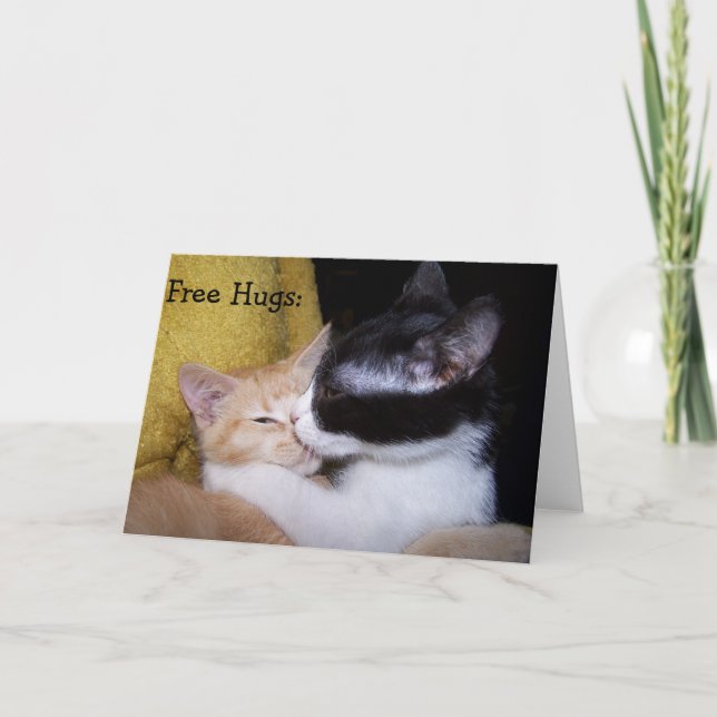 Tarjeta de cumpleaños: Gatitos dulces dan abrazos  (Anverso)