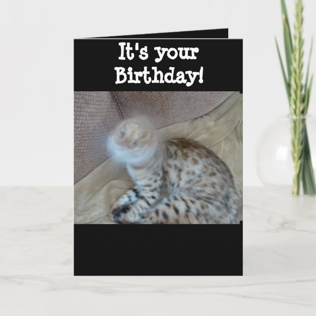 Tarjeta de cumpleaños - gato bengalí (Anverso)
