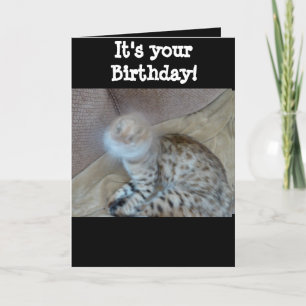 Tarjeta de cumpleaños - gato bengalí