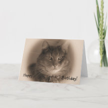 Tarjeta de cumpleaños - Gato en Sepia