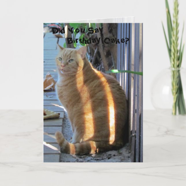 Tarjeta de cumpleaños Gato Grasa (Anverso)