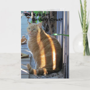 Tarjeta de cumpleaños Gato Grasa