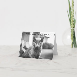 Tarjeta de cumpleaños: Gato Gris