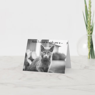 Tarjeta de cumpleaños: Gato Gris