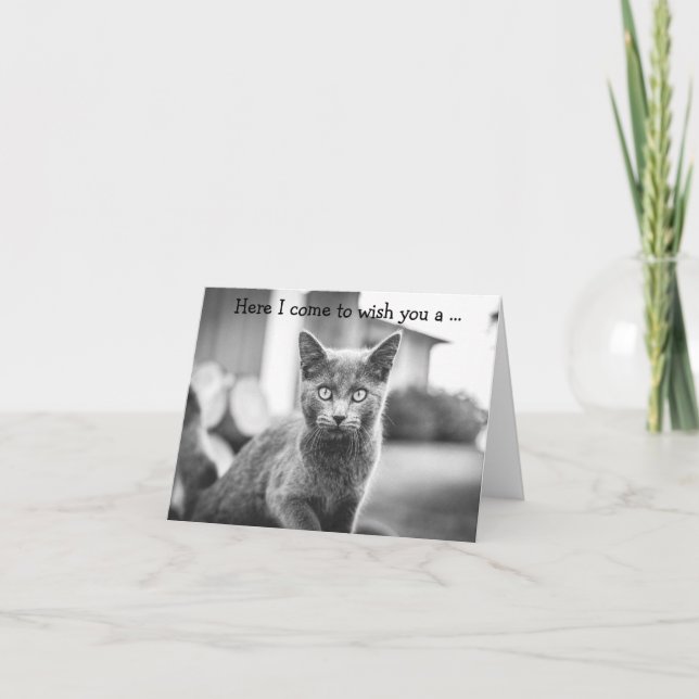 Tarjeta de cumpleaños: Gato Gris (Anverso)