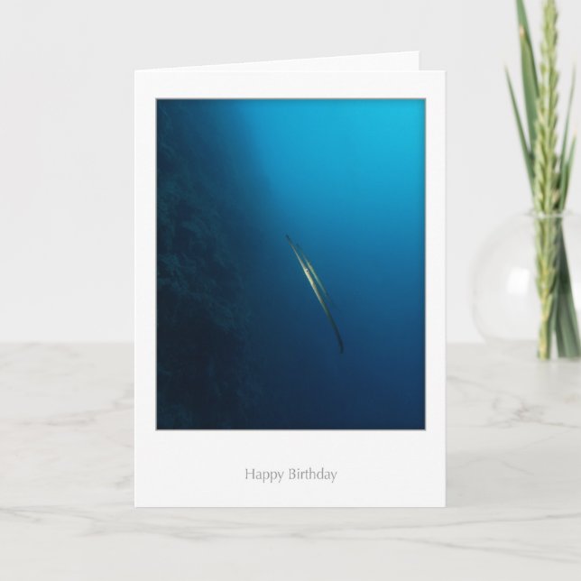 Tarjeta de cumpleaños gemela de los pescados de (Anverso)