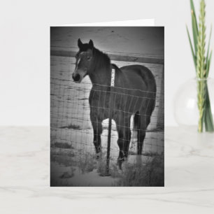 Tarjeta de cumpleaños "Get On Your High-Horse"