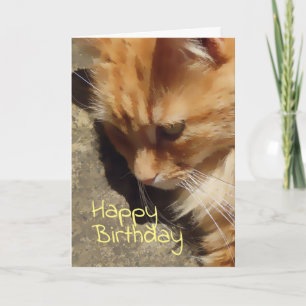 Tarjeta de cumpleaños Ginger cat