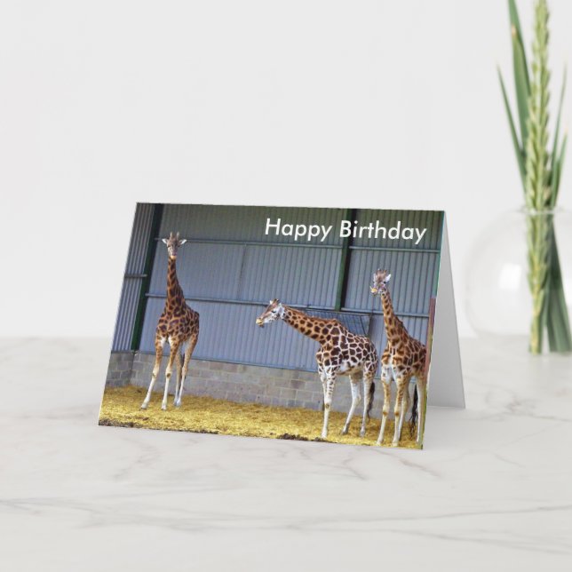 Tarjeta de cumpleaños Giraffe (Anverso)