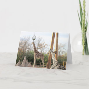 Tarjeta de cumpleaños Giraffes