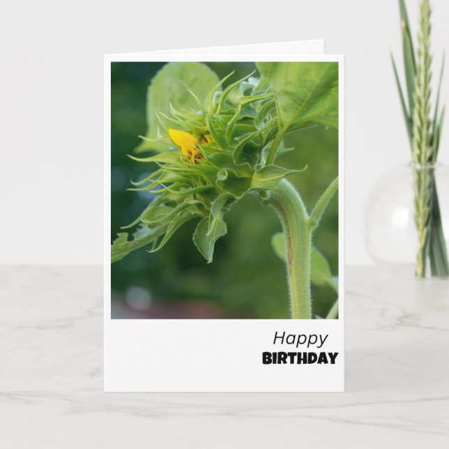 Tarjeta de cumpleaños girasol en curso (Anverso)