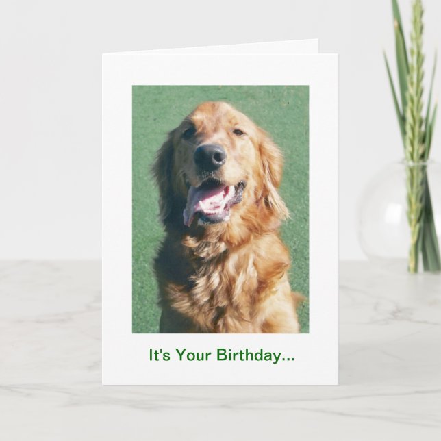 Tarjeta de cumpleaños Golden Retriever, años de or (Anverso)