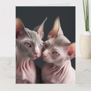 TARJETA DE CUMPLEAÑOS GRANDE PARA GATOS SIN PELO S