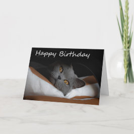 Tarjeta de cumpleaños Gray Cat Happy
