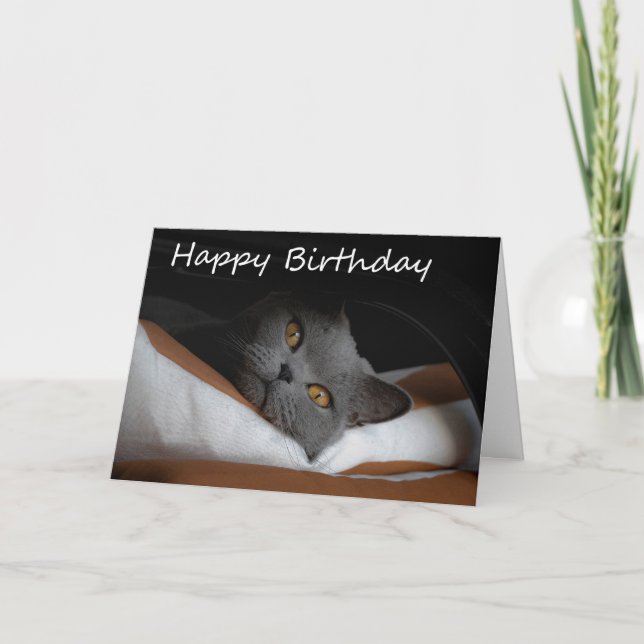 Tarjeta de cumpleaños Gray Cat Happy (Anverso)