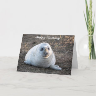 Tarjeta de cumpleaños Gray Seal
