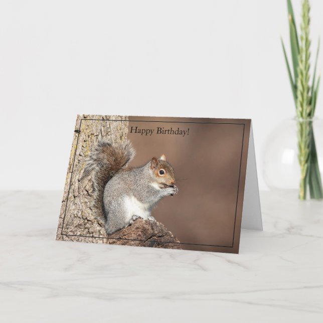 Tarjeta de cumpleaños Gray Squirrel (Anverso)