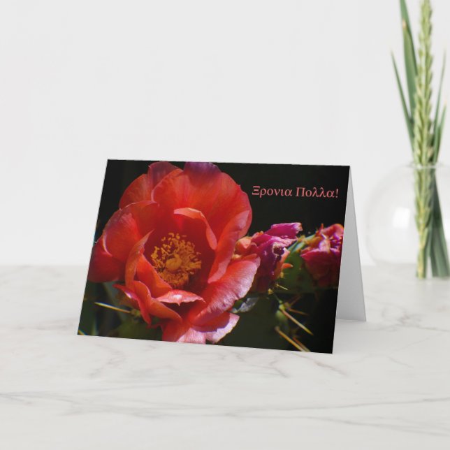 Tarjeta de cumpleaños griega (Anverso)