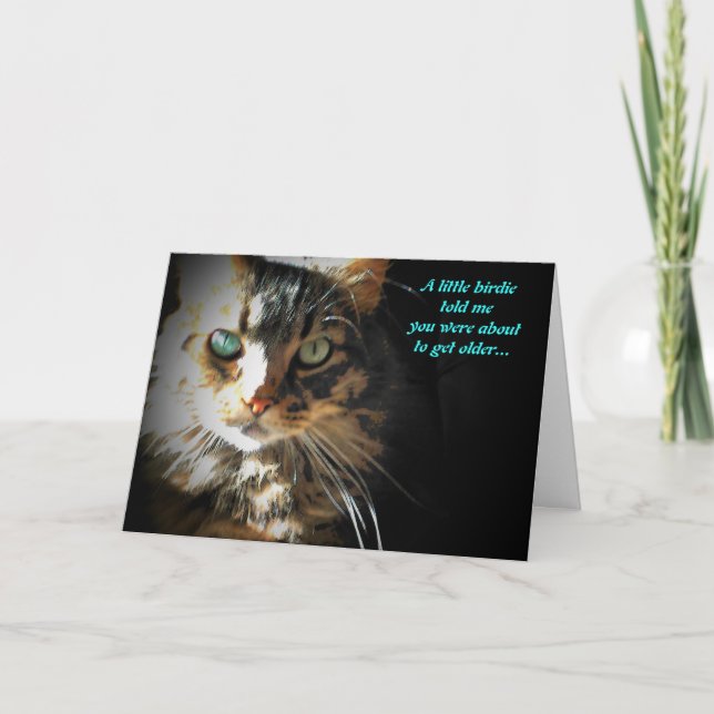 Tarjeta de cumpleaños Grumpy Kitty Eats Birdy (Anverso)