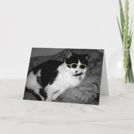 Tarjeta de cumpleaños Guay Cat w Sungafas