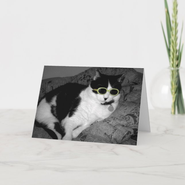 Tarjeta de cumpleaños Guay Cat w Sungafas (Anverso)